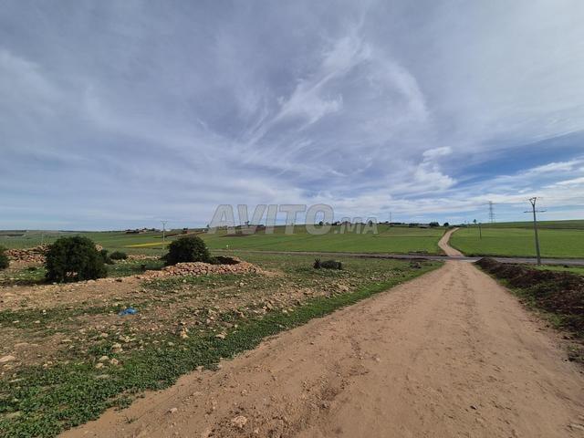 Propriété vente à El Ma, Gharb-Chrarda-Beni Hssen