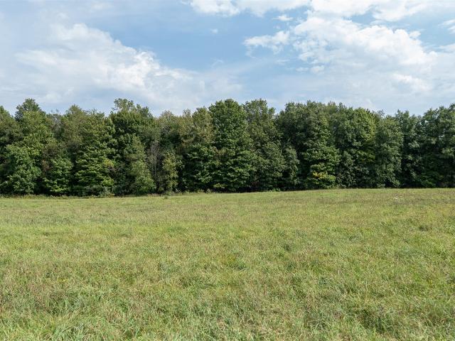 Land for sale in Hillsdale, Michigan