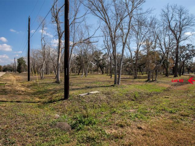 Land for sale in Alvin, Texas
