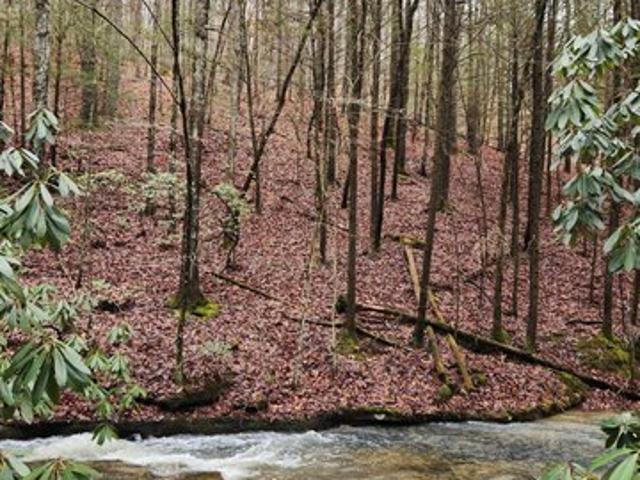 Land for sale in Tennessee