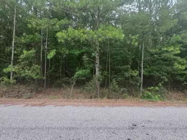 House for rent in Selma