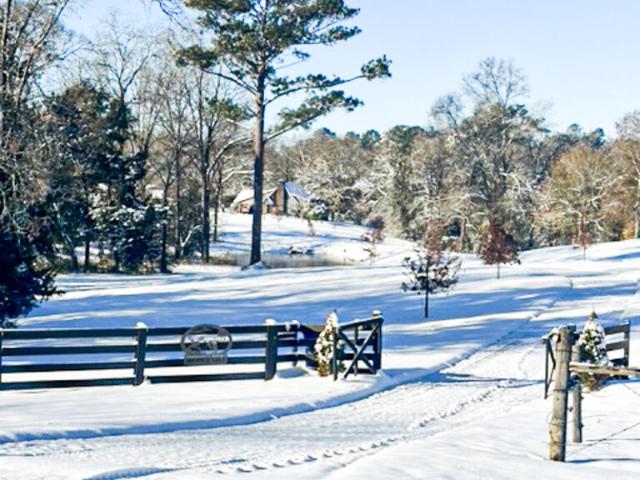 House for sale in Headland, Alabama