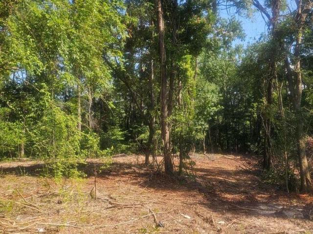 Land for sale in Louisville, Georgia