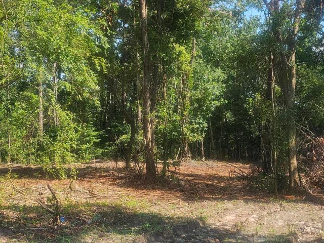 Land for sale in Louisville, Georgia