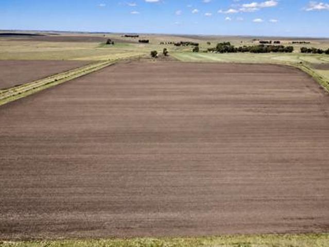 Farm for sale in Heilbron, Ngwathe Local Municipality