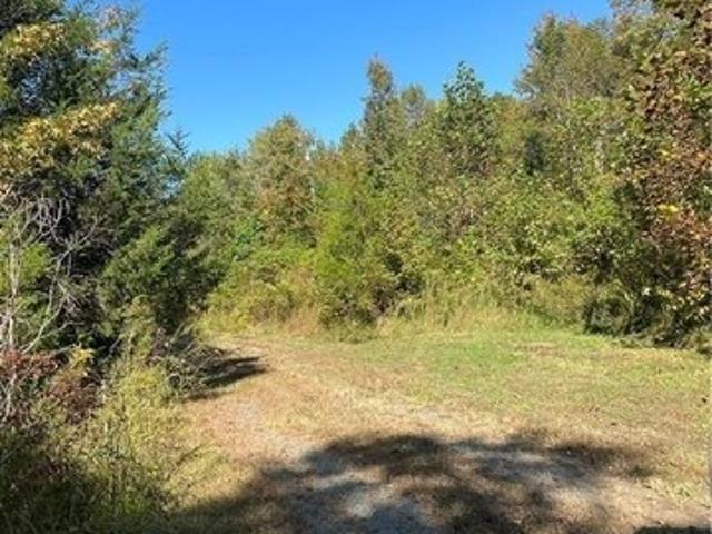 Land for sale in Virginia