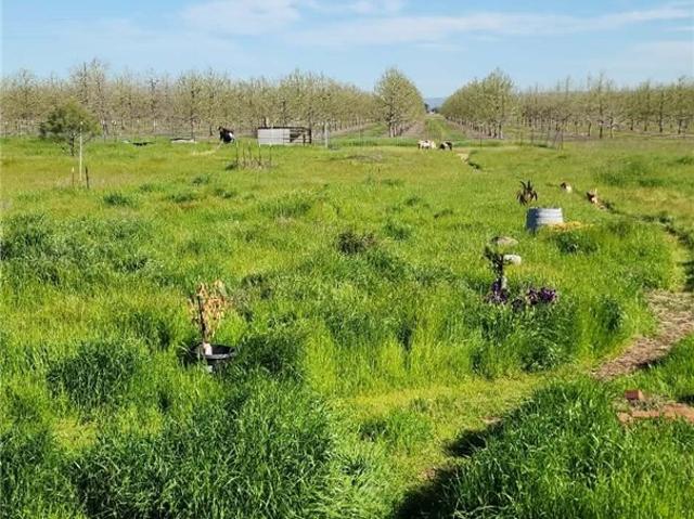House for sale in Butte, California
