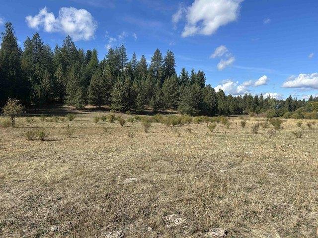Land for sale in Mead, Washington