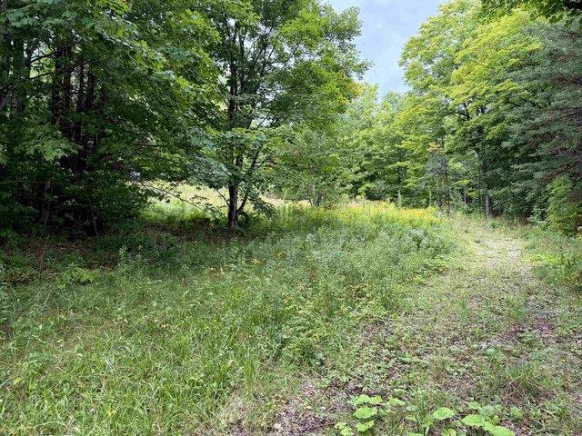 Land for sale in Sutton, Caledonia County