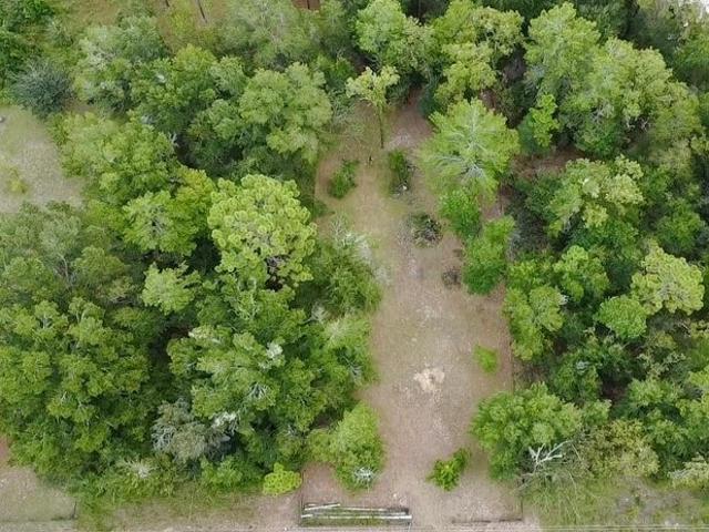 Land for sale in Williston, Levy County