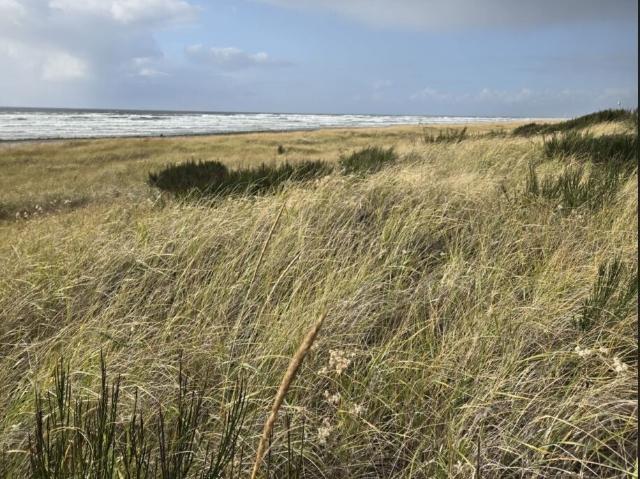Land for sale in Grayland, Washington