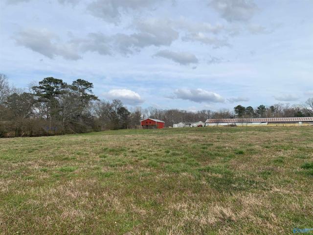 Land for sale in Albertville Land for sale in Albertville