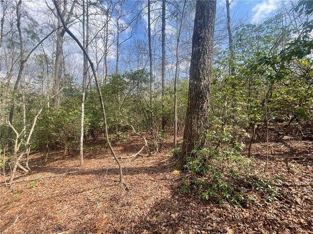 Land for sale in Mountain Rest, South Carolina
