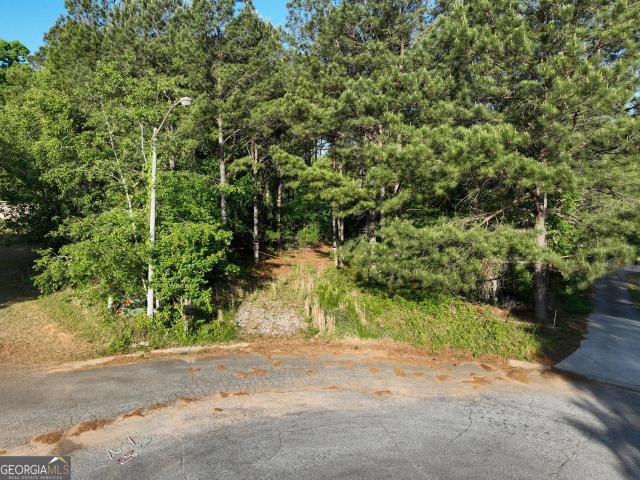 Land for sale in Williamson, Georgia