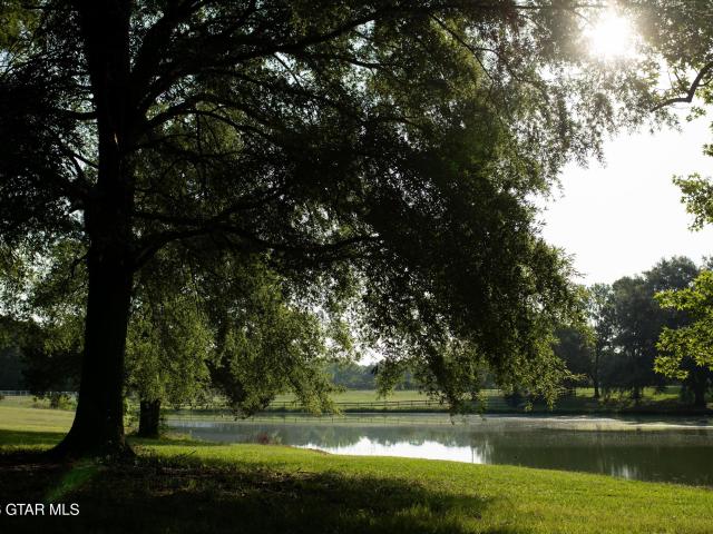 House for sale in Starkville, Mississippi
