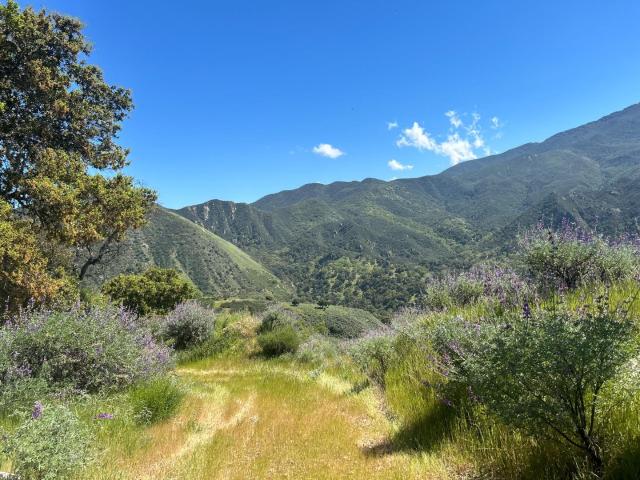 Land for sale in California