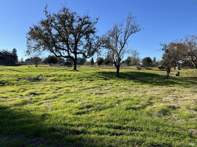 Land for sale in Sebastopol, California