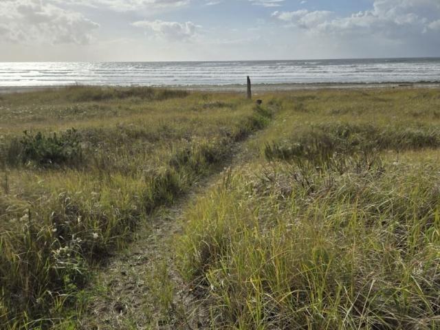 Land for sale in Grayland, Washington