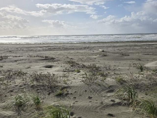 Land for sale in Grayland, Washington