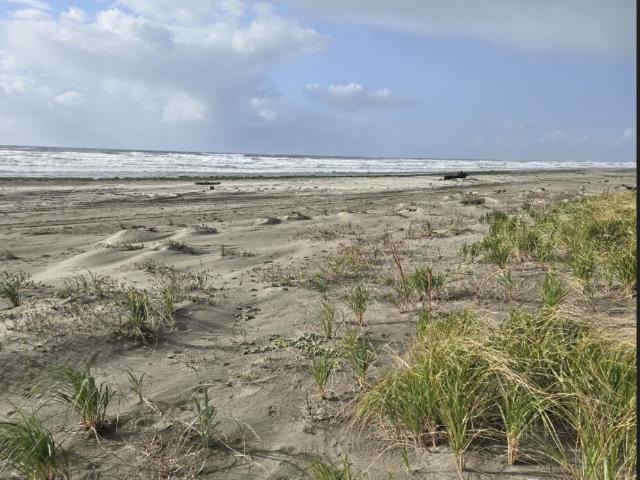 Land for sale in Grayland, Washington