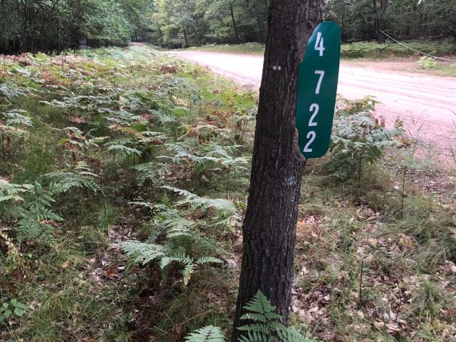 Land for sale in Lincoln Township, Clare County