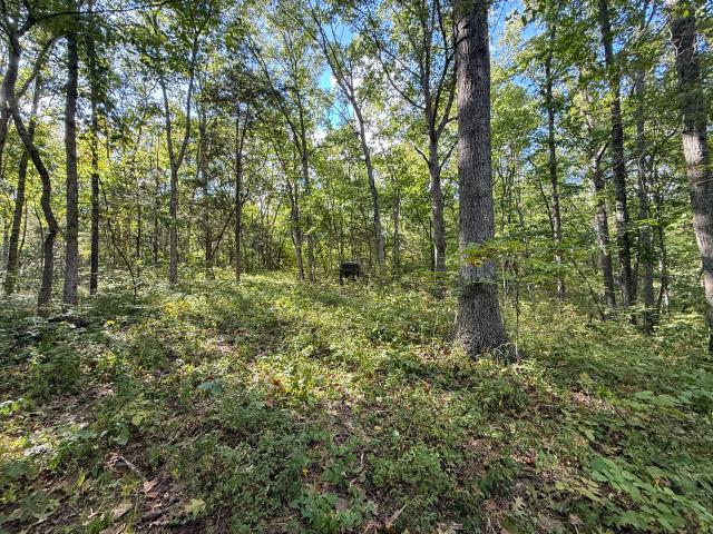 Land for sale in Frankfort, Kentucky