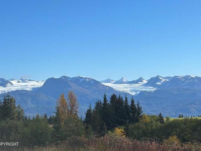 Land for sale in Homer
