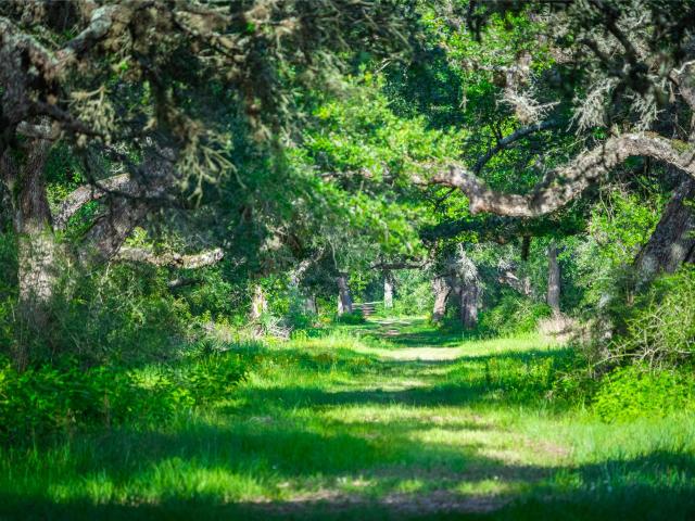 Farm for sale in Hallettsville, Texas
