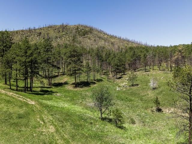Land for sale in Loveland, Colorado