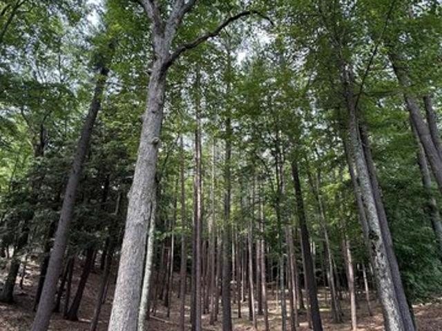 Land for sale in Traverse City, Michigan