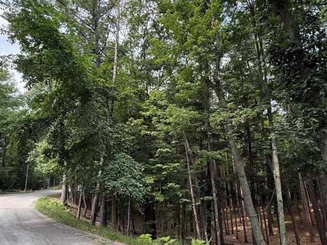 Land for sale in Michigan