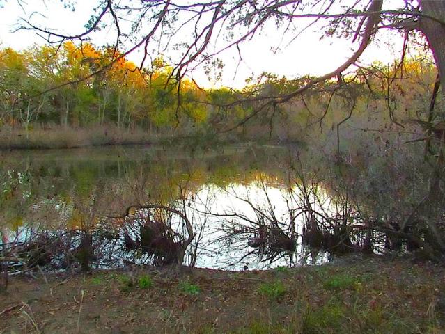 Land for sale in Cumby, Texas
