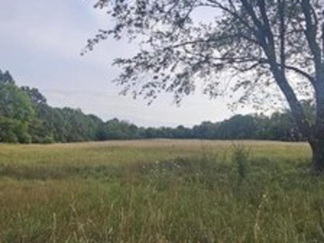 Land for sale in Branch, Michigan
