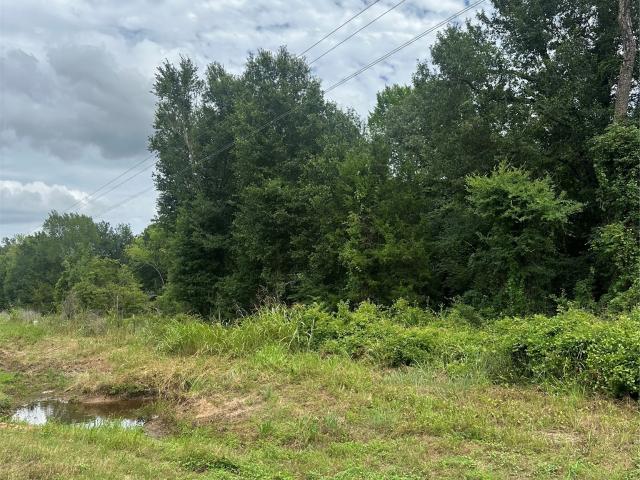Land for sale in Limestone, Texas