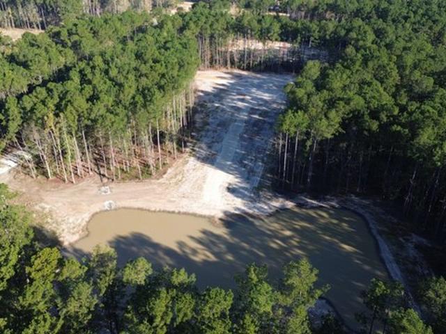 Land for sale in Ridgeville, Dorchester County