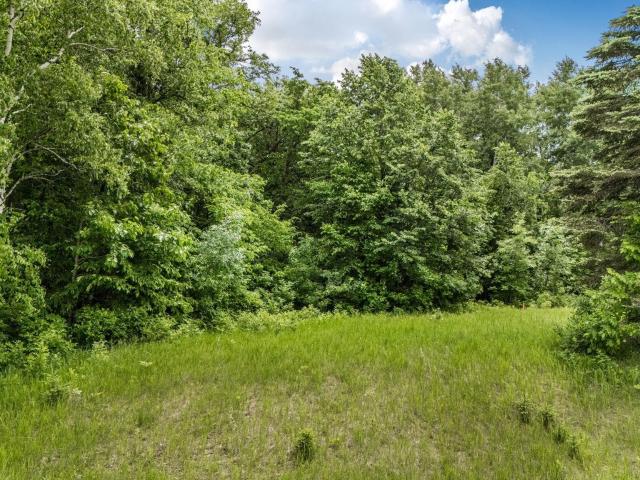 Land for sale in Miltona, Minnesota