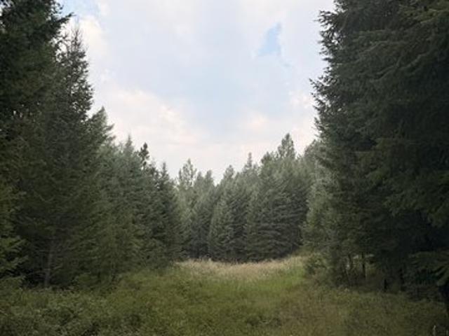 Land for sale in Montana