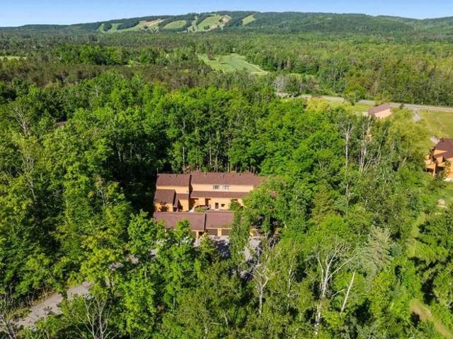 Condo for sale in Harbor Springs, Michigan