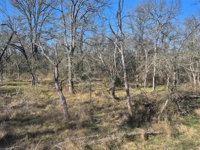 Land for sale in Marlin, Texas