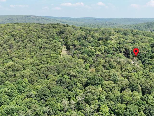 Land for sale in New York