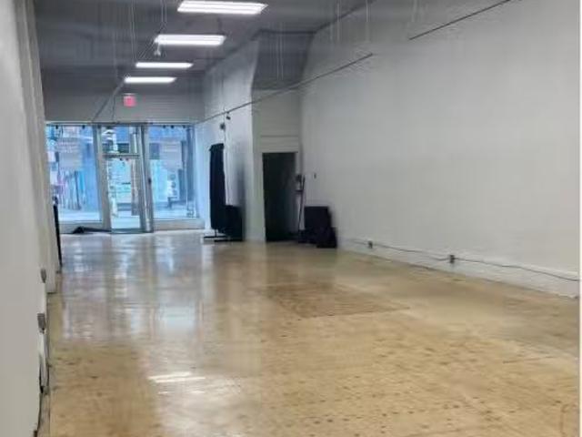 House for rent in Spadina—Fort York, Toronto