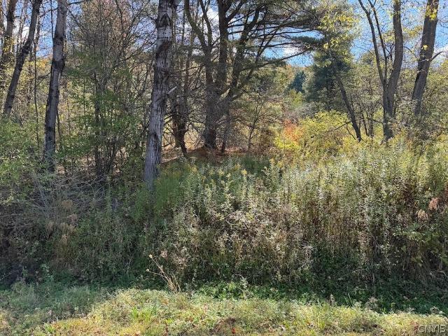 Land for sale in Great Valley, New York