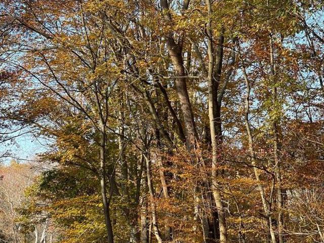 House for sale in Lothian, Maryland