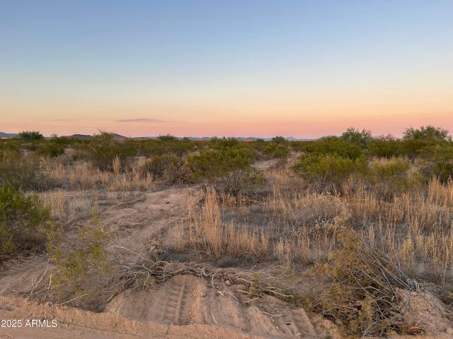 Land for sale in Salome