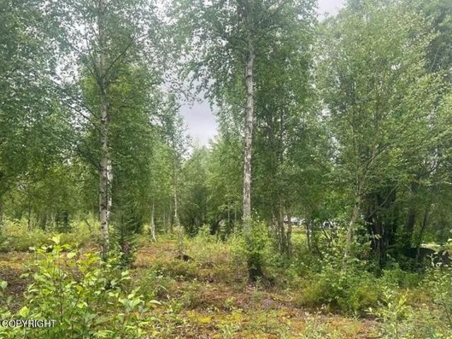 Land for sale in Holt, Missouri