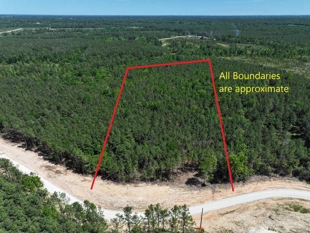 Land for sale in Lovelady, Texas