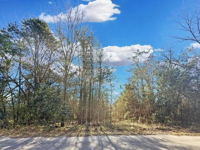 Land for sale in Orangeburg, South Carolina