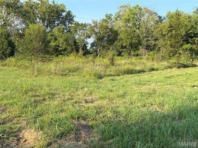 Land for sale in Des Arc, Missouri