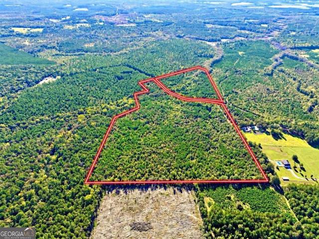 Land for sale in Wilkinson County, Georgia