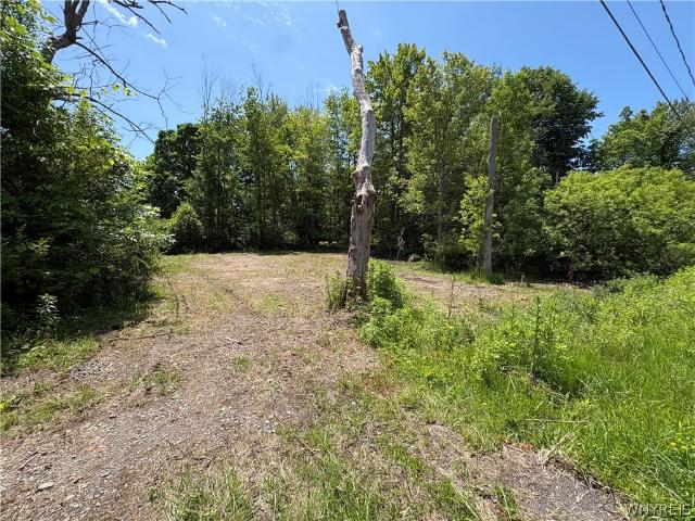 Land for sale in Irving, New York